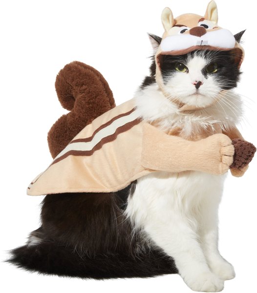 Frisco Chipmunk Dog & Cat Costume, Small slide 1 of 9