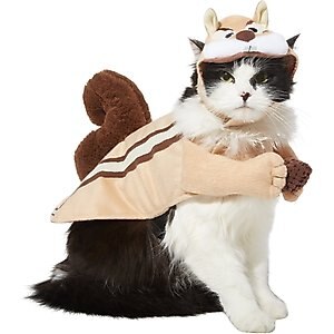 Frisco Chipmunk Dog & Cat Costume, Small