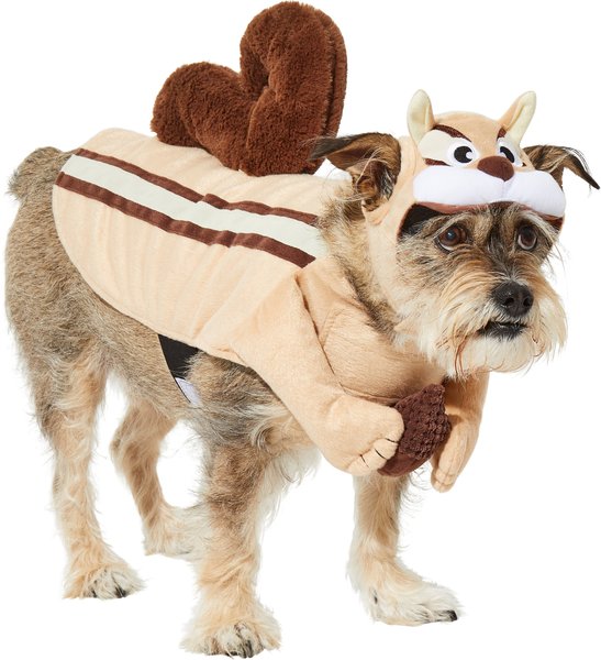 Frisco Chipmunk Dog & Cat Costume, Medium slide 1 of 8