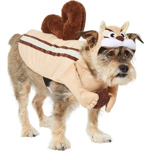 Frisco Chipmunk Dog & Cat Costume, Medium