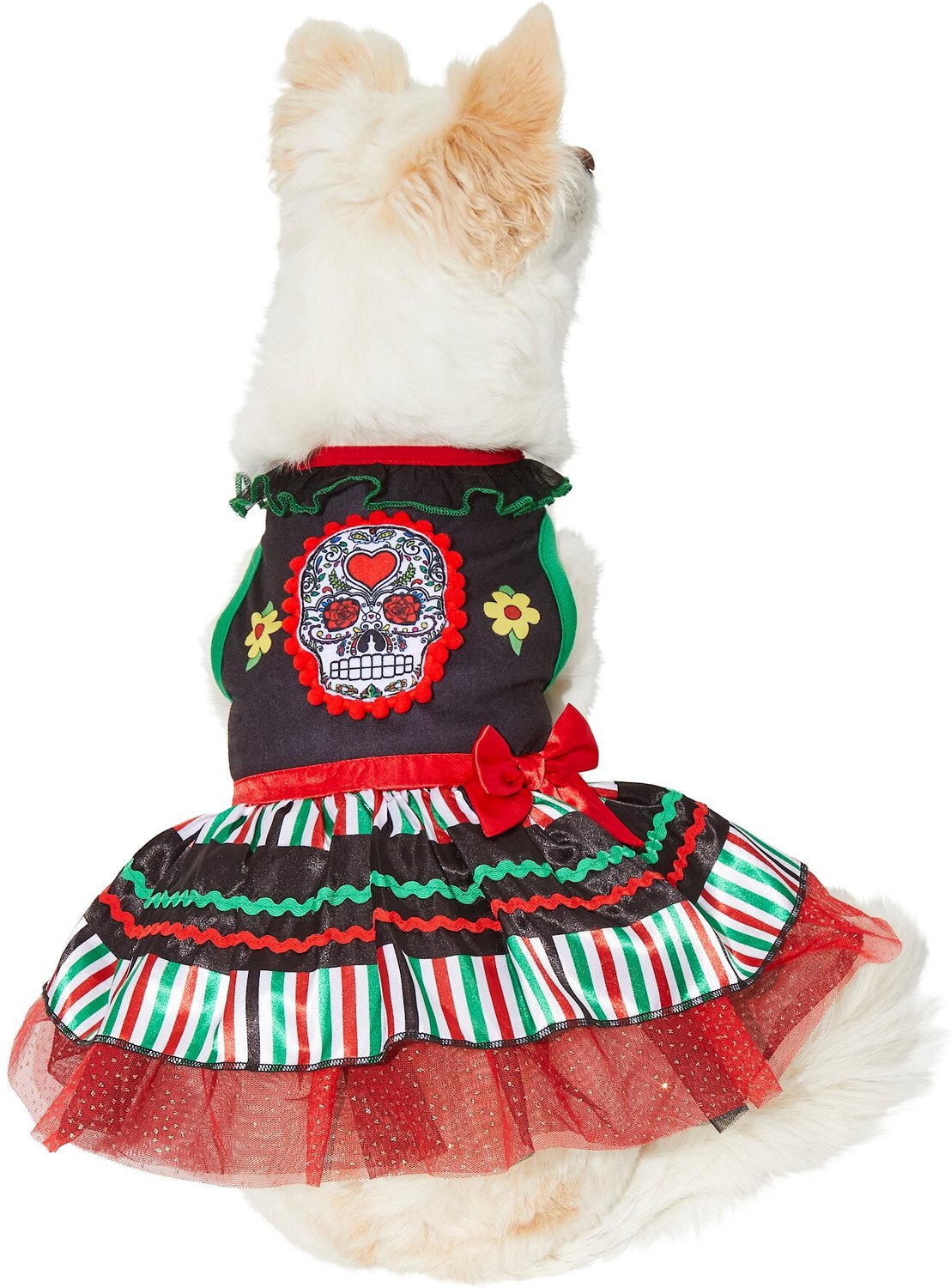 day of dead dog costume