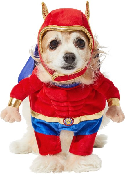 Frisco Front Walking Superhero Dog & Cat Costume, X-Large slide 1 of 9