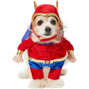 Frisco Front Walking Superhero Dog & Cat Costume, X-Large