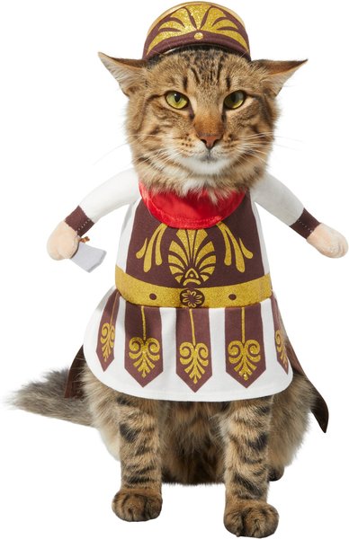 Frisco Front Walking Warrior Dog & Cat Costume, X-Small slide 1 of 10