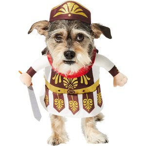 Frisco Front Walking Warrior Dog & Cat Costume, Medium