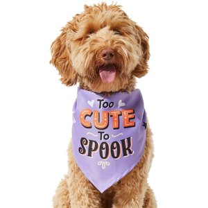 Frisco Too Cute to Spook Dog & Cat Bandana, Medium/Large