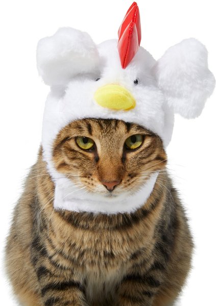 Frisco Chicken Cat Costume, One Size slide 1 of 5