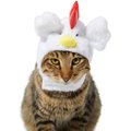 Frisco Chicken Cat Costume, One Size