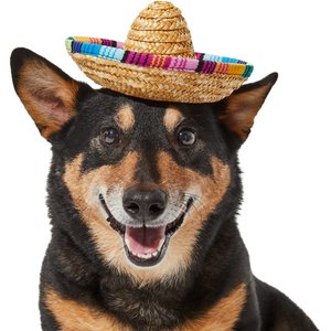 Frisco Dog & Cat Sombrero Hat, X-Large/XX-Large