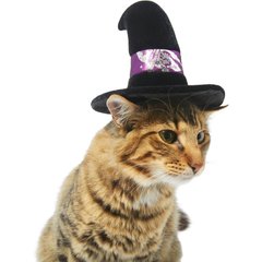 Frisco Midnight Witch Dog & Cat Hat, X-Small/Small