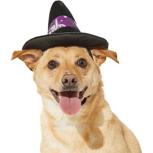 Frisco Midnight Witch Dog & Cat Hat, Medium/Large