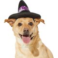 Frisco Midnight Witch Dog & Cat Hat, X-Large/XX-Large