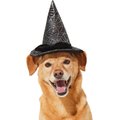 Frisco Cobweb Witch Dog & Cat Hat, Medium/Large