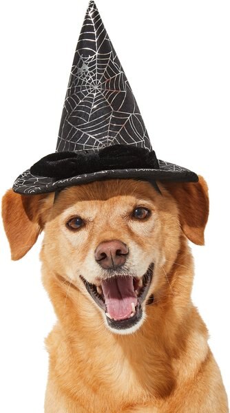 Frisco Cobweb Witch Dog & Cat Hat, X-Large/XX-Large slide 1 of 5