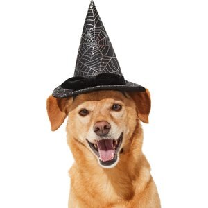 Frisco Cobweb Witch Dog & Cat Hat, X-Large/XX-Large