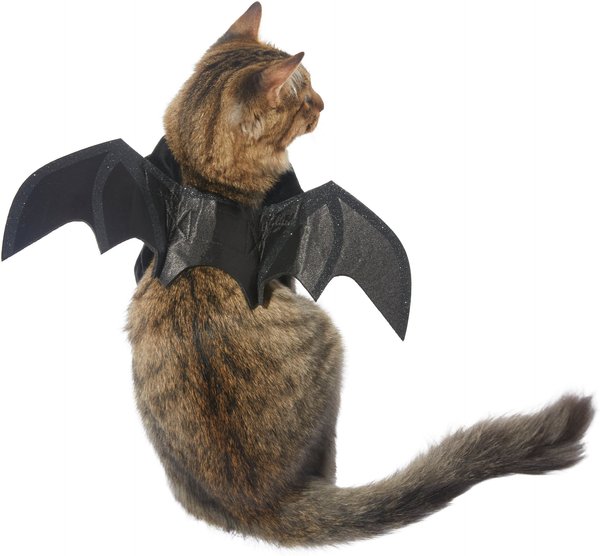 Frisco Bat Wings Dog & Cat Costume, X-Small/Small slide 1 of 6