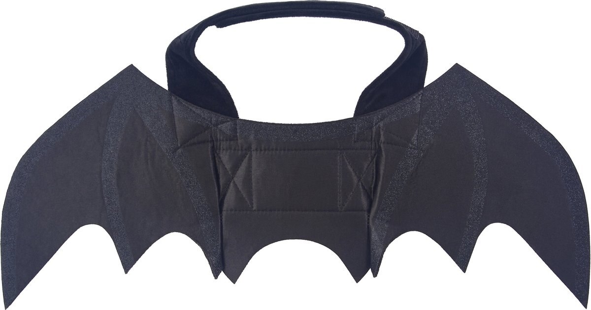 FRISCO Bat Wings Dog & Cat Costume, X-Small/Small - Chewy.com