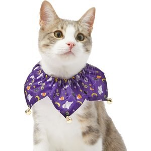 Frisco Spooky Halloween Cat Collar Ruffle, One Size