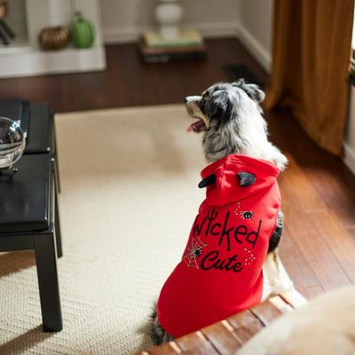 Show full view: Frisco Wicked Cute Dog & Cat Hoodie, X-Small slide 7 of 8