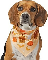 Frisco Whimsical Halloween Dog & Cat Bandana, X-Small/Small