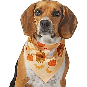 Frisco Whimsical Halloween Dog & Cat Bandana, X-Small/Small