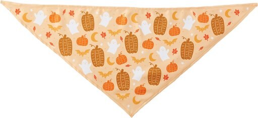 Frisco Whimsical Halloween Dog & Cat Bandana, X-Small/Small