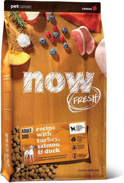 Now Fresh Grain-Free Adult Recipe Dry Dog Food, 22-lb bag slide 1 of 9
