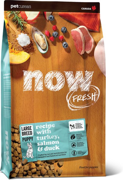 Now Fresh Grain-Free Large Breed Puppy Recipe Dry Dog Food, 12-lb bag slide 1 of 9