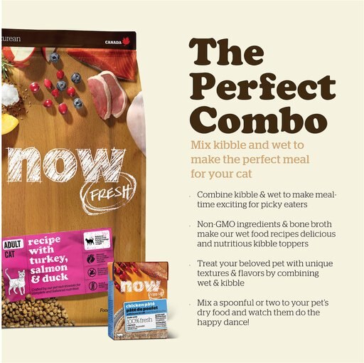 Now Fresh Grain-Free Adult Formula Dry Cat Food, 8-lb bag