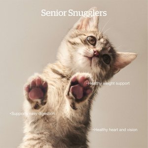 Now Fresh Grain-Free Senior Dry Cat Food, 8-lb bag