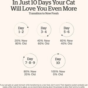 Now Fresh Grain-Free Senior Dry Cat Food, 8-lb bag