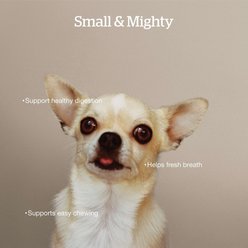 Now Fresh Grain-Free Small Breed Adult Recipe Dry Dog Food, 3.5-lb bag slide 2 of 2