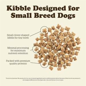 Now Fresh Grain-Free Small Breed Senior Recipe Dry Dog Food, 6-lb bag