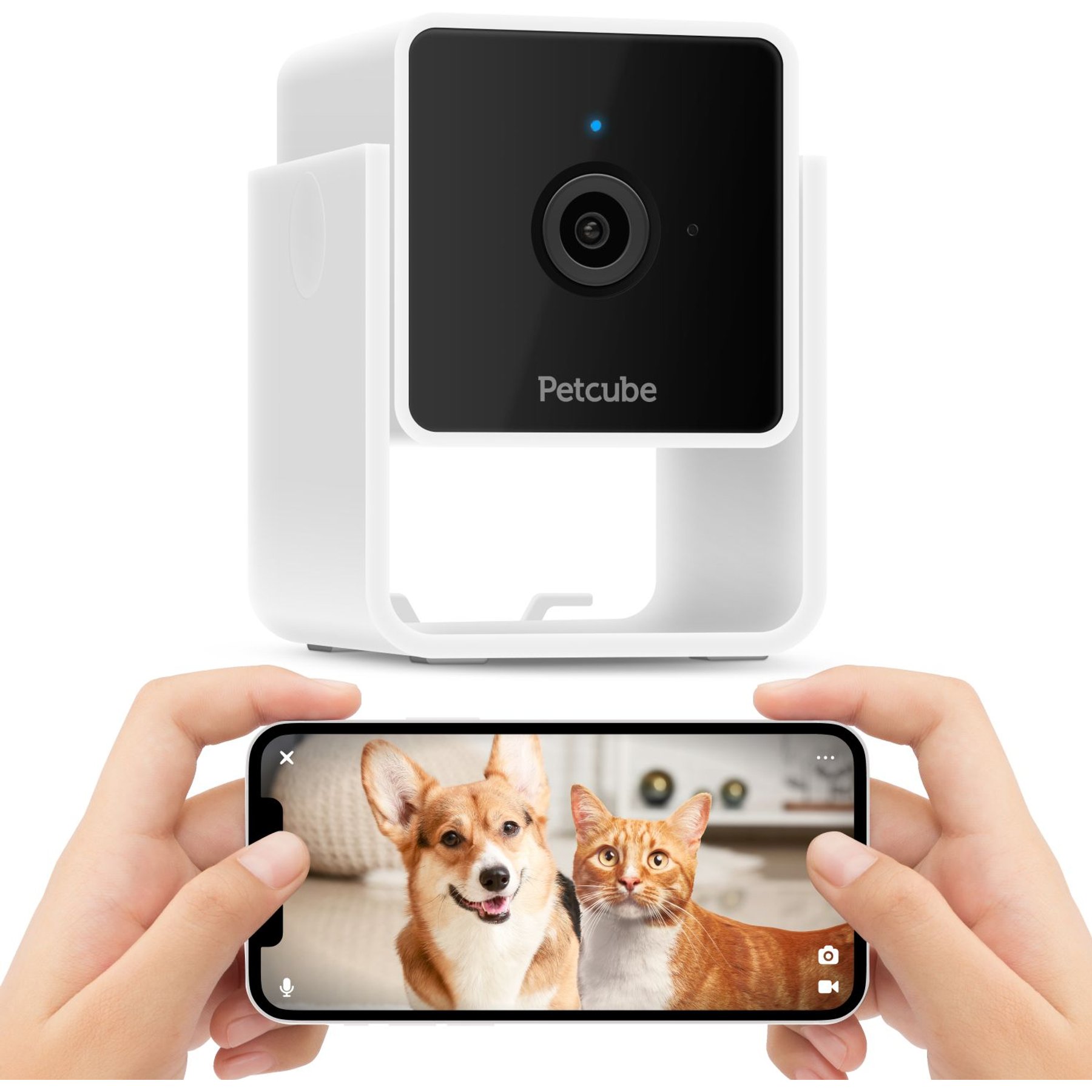 Petcube best clearance buy