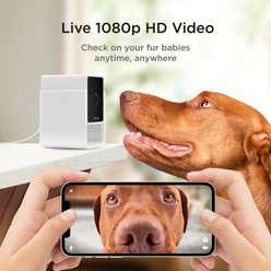Petcube Cam HD Monitoring with Vet Chat Pet Camera slide 2 of 6