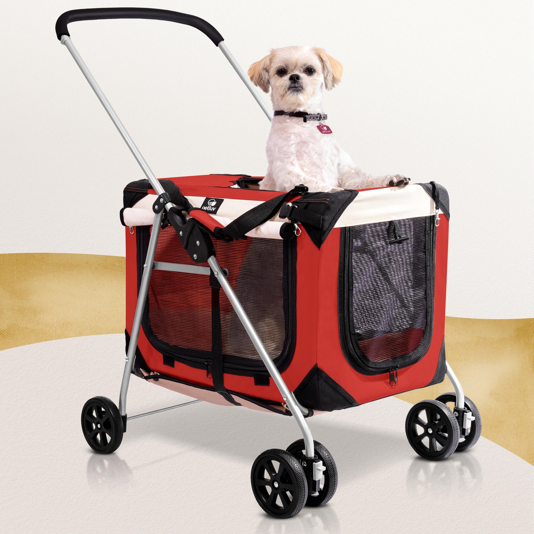 Cat stroller chewy hotsell