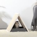 Petsfit Triangular Pets Indoor Cat House with Sisal Mat