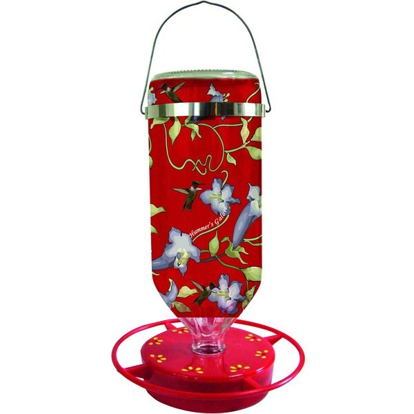 HUMMER'S GALORE Vine Design Hanging Feeder Hummingbird Feeder, 16oz
