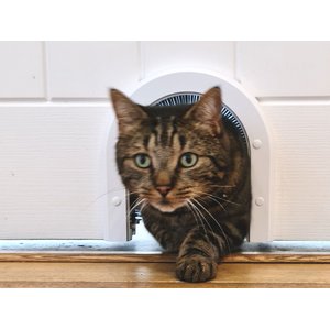 Cathole ECO Cat Door, White