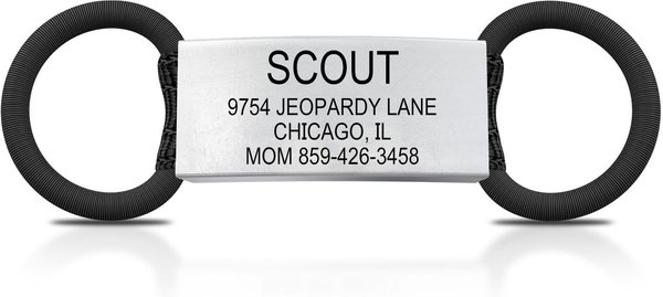 ROAD iD Personalized Dog ID Tag, Slate, Small slide 1 of 6
