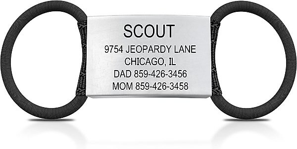 ROAD iD Personalized Dog ID Tag, Slate, Medium/Large slide 1 of 6