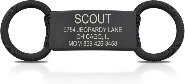 roadid dog tag