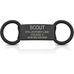 roadid dog tag