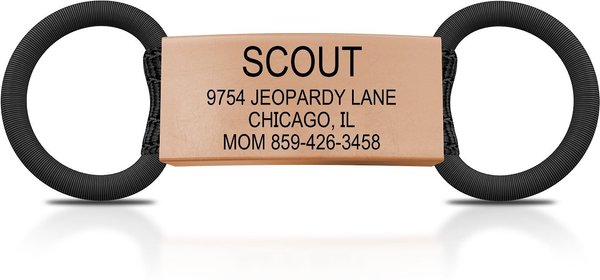 ROAD iD Personalized Cat ID Tag, Rose Gold, Small slide 1 of 2