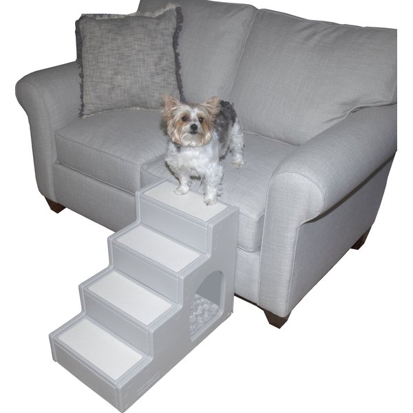 Grey dog outlet stairs