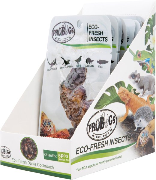 Discontinued - PROBUGS Eco-Fresh Insects Dubia Cockroach Lizard Food, 5 ...