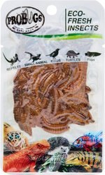 Probugs Eco-Fresh Insects Mealworm Lizard Food, 20-g pouch, case of 10 slide 2 of 4