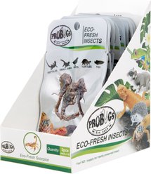 Probugs Eco-Fresh Insects Scorpion Lizard Food, 3 count