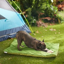 Frisco Travel Pillow Dog Bed with Reusable Storage Bag, Green, Large