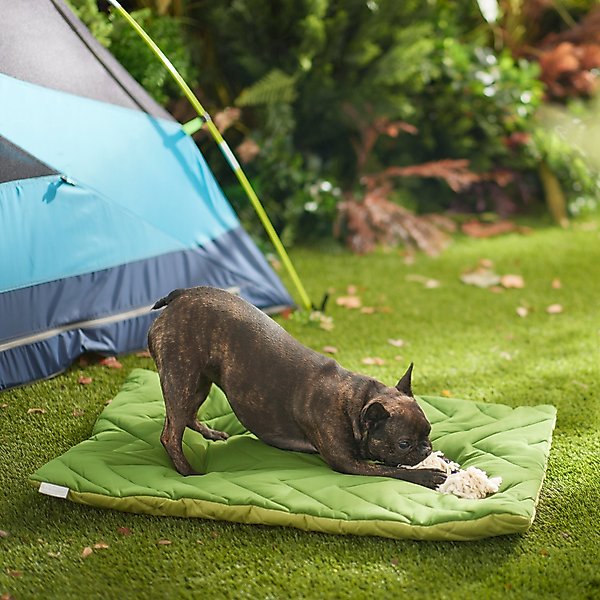 frisco travel pillow dog bed
